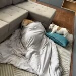 Gustavo Stockler Instagram - #Dump desse mês que durou 2 meses hahaha. Eu tenho valorizado TANTO viver mais tranquilo, e ter um serviço que me ajuda nisso é incrível. Com o Seguro pra Vida da @bbseguros vc tem orientação fitness, psicológica, assistente pet e muuuito mais. | Publi *Confira as condições em bbseguros.com.br