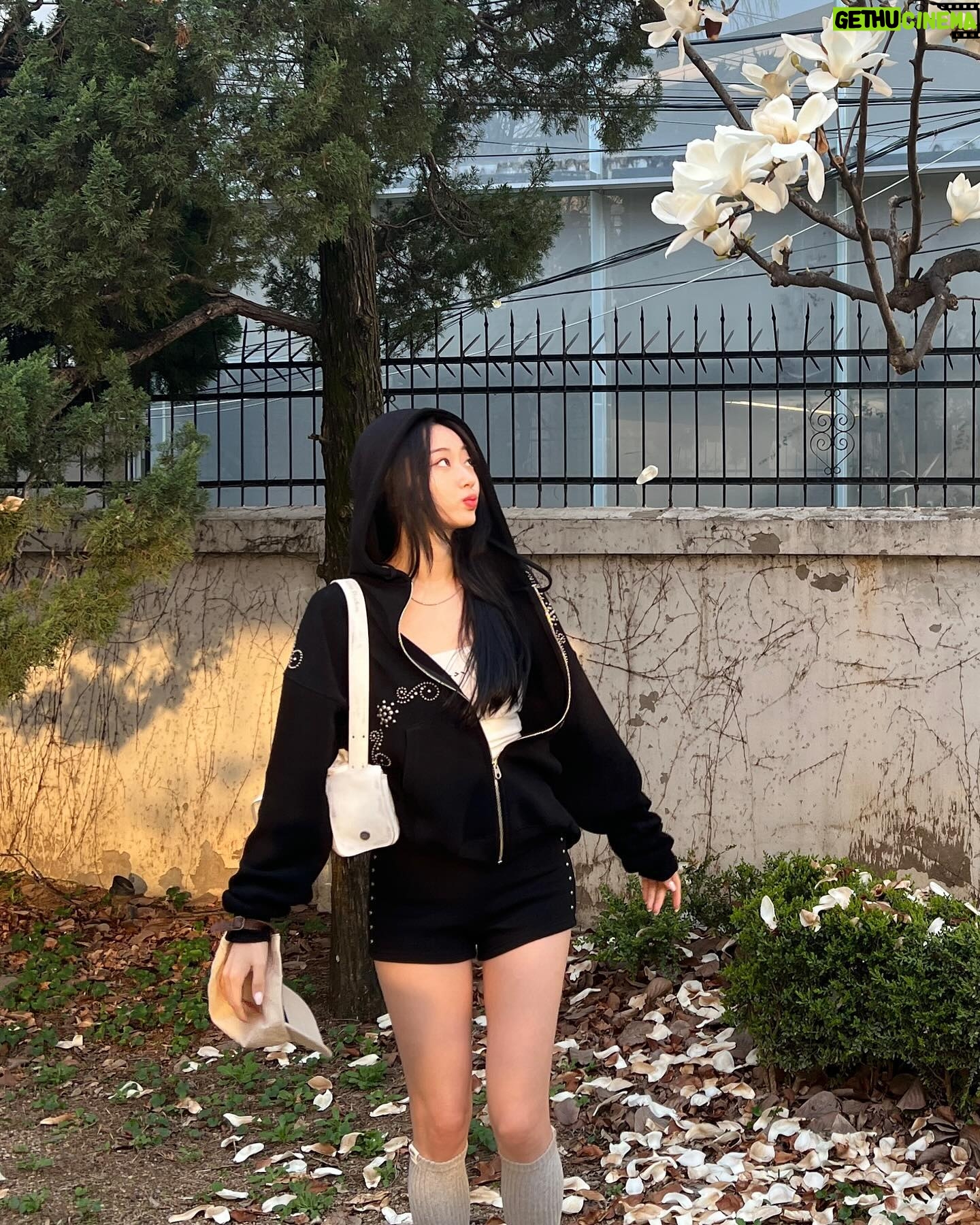 Gyeongree Instagram - 1일 1벚꽃 중 그런데 아무튼 꽃이라면 환장 ..💗
