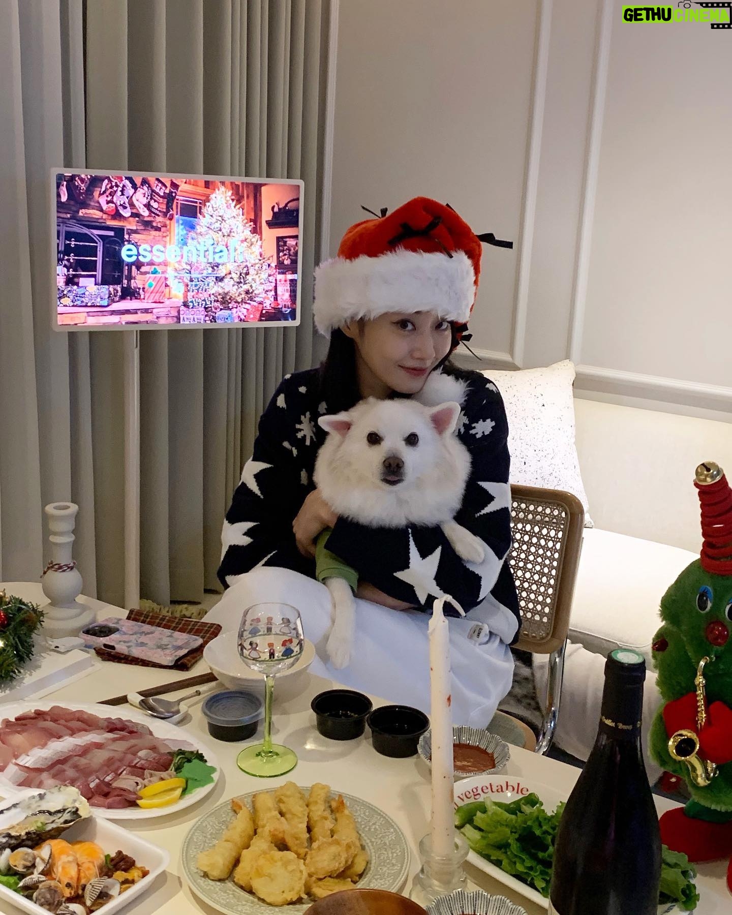 Gyeongree Instagram - ⋆⁺₊⋆행복으로 가득찬 멜크 입니다🐶🎄☃️🤍 (깜순ㅇㅏ 너무 폭 안긴거 아니야?(•̥̥̥⌓•̥̥̥) 엥 내가낳았나 🤣)
