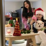 Gyeongree Instagram - ⋆⁺₊⋆행복으로 가득찬 멜크 입니다🐶🎄☃️🤍 (깜순ㅇㅏ 너무 폭 안긴거 아니야?(•̥̥̥⌓•̥̥̥) 엥 내가낳았나 🤣)