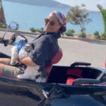Hülya Avşar Instagram - ⭐️⭐️