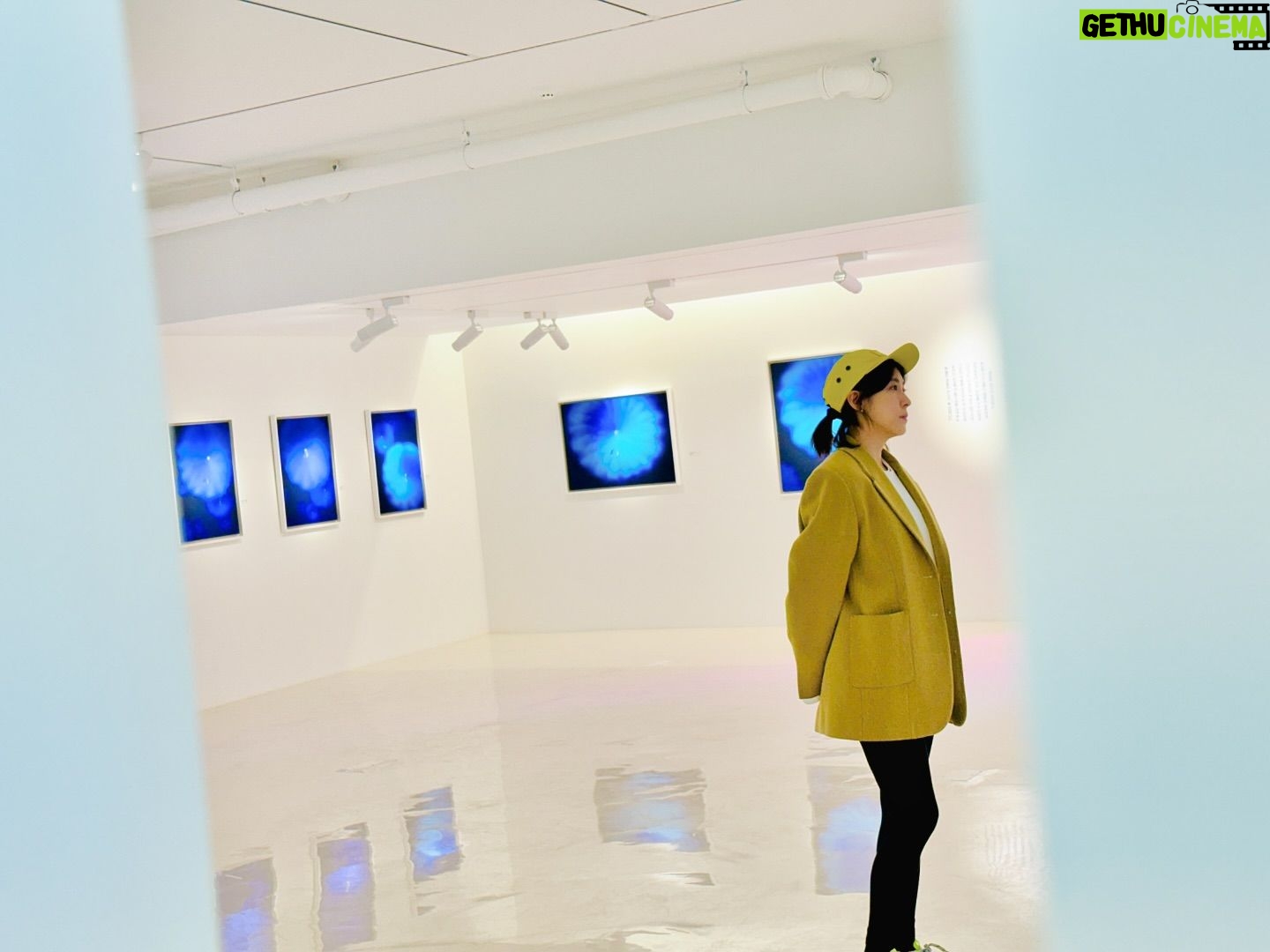 Ha Ji-won Instagram - 남상운 작가님의 전시가 시작되었습니다~ 많이 사랑해주세요~💙 남상운 SOLO EXHIBITION 3월 9일 토요일 오늘부터 시작되는 남상운 작가의 개인전 《청춘의 별》 ! 최근, 다양한 미술 컨텐츠에서 좋은 모습을 보이고 있는 남상운 작가의 작품, 블루문을 직접 만나는 특별한 기회가 준비되었습니다. 이번 전시를 통해 별이란 생명체에 대한 남상운 작가의 연구를 함께 느껴 보시길 바랍니다. @polarpo_official @namsangwoon @namsangwoon_official ▫️전시 제목 : 청춘의 별 ▫️전시 기간: 2024.3.9(토) ~ 3.31(일) ▫️관람 시간: 10:00 - 18:00 (휴관: 매주 월요일) ▫️오프닝: 2024. 03. 09(토) PM6:00 ~ ▫️주소: 서울 성동구 성수이로7길 30 6층 Art Space Polarpo