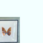 Ha Ji-won Instagram –