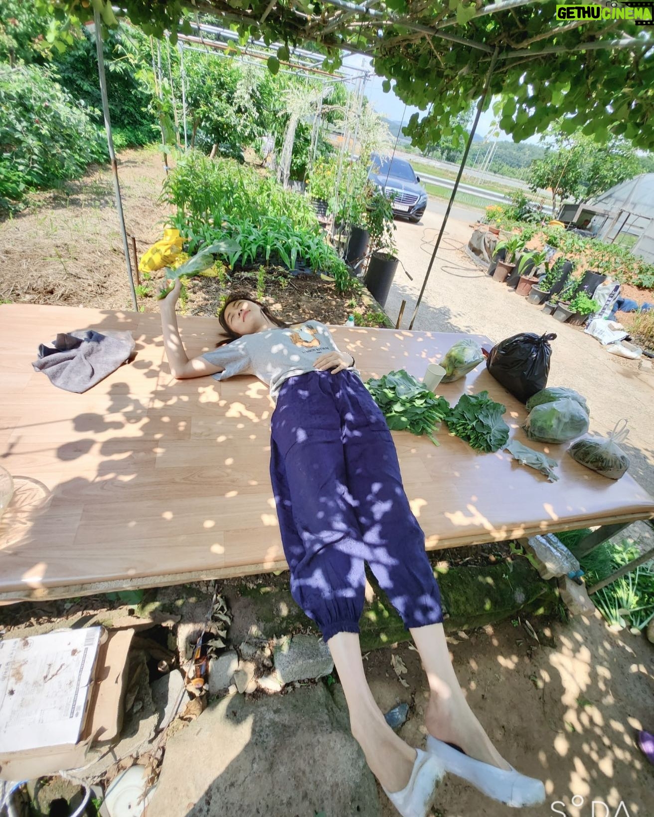 Ha Ji-won - 41.5K Likes - 허리펴기😆