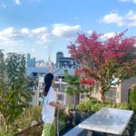 Ha Ji-won Instagram – 가을햇살🍁너무 이뻐🌍