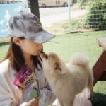 Ha Seung-lee Instagram - 나만 없지..🐕🐈‍⬛
