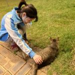 Ha Seung-lee Instagram - 나만 없지..🐕🐈‍⬛