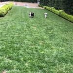 Halston Sage Instagram - Sound ON
