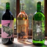 Halston Sage Instagram - THE MOST BEAUTIFUL WINE BOTTLES I’VE EVER SEEN. Throughout the month of May, @mastergia and the Coppola family winery will be donating $5 to No Kid Hungry for every bottle of Gia Coppola Wine sold. Link in my bio stories 💕 @giacoppolawine 💕
