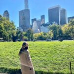 Halston Sage Instagram –