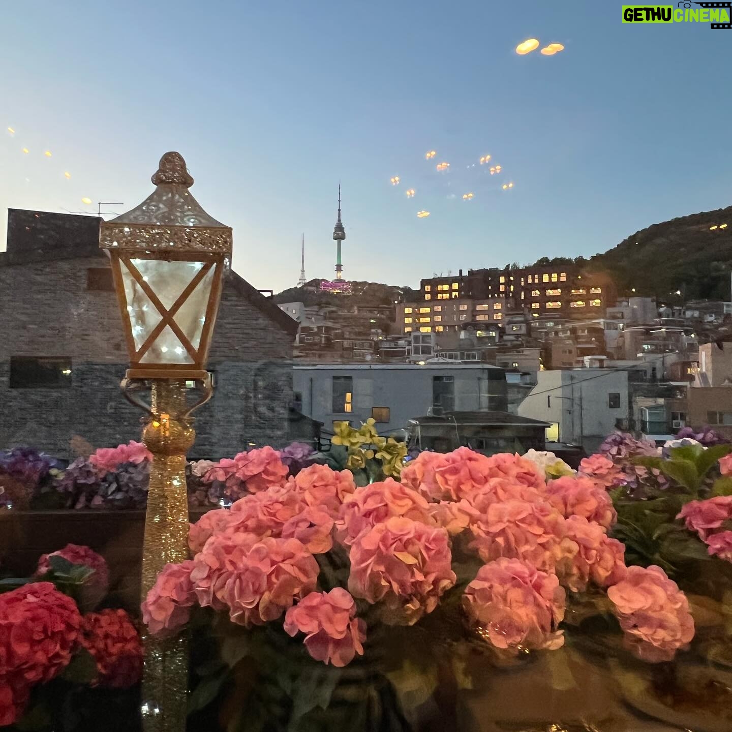 Ham Eun-jeong Instagram - 5월의 시작이던 어느 날🌷 테라스에서 봄 햇살 맞는게 얼마만인지. 예쁜사진들과 식사 감사해요🍴🤍 (8:30에는 식사중에도 본방송 틀어놓고 이아기하게 됨…🕗)