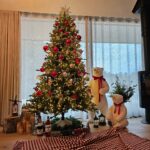 Han Hye-jin Instagram - ❄️Merry Christmas!⛄️서울에 있으면 강원도에 오고싶고..강원도에 오면 서울에 가기 싫고🤣 여러분은 크리스마스트리 하셨나요? 전 좀 늦었어요^^ 열심히 만들어서 여러분께 보여드리고 싶었어요! 어때요? 저 잘 만들었나요😁 그런데.. 여러분은 크리스마스에 뭐 하시나요? 저는 말이죠...흠........🥹