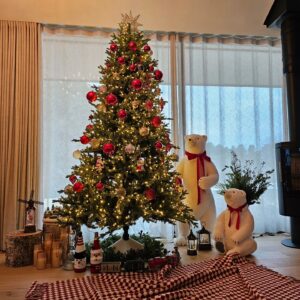 Han Hye-jin Instagram - ❄️Merry Christmas!⛄️서울에 있으면 강원도에 오고싶고..강원도에 오면 서울에 가기 싫고🤣 여러분은 크리스마스트리 하셨나요? 전 좀 늦었어요^^ 열심히 만들어서 여러분께 보여드리고 싶었어요! 어때요? 저 잘 만들었나요😁 그런데.. 여러분은 크리스마스에 뭐 하시나요? 저는 말이죠...흠........🥹