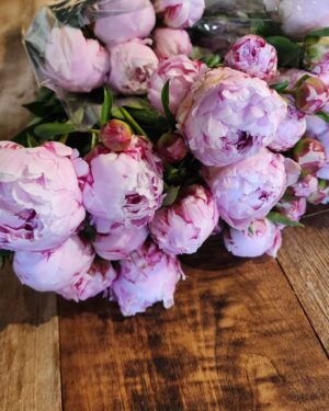 Han Hye-yeon Instagram - 𝙏𝙃𝙄𝙎 𝙒𝙀𝙀𝙆 𝙃𝙀𝘼𝙇𝙄𝙉𝙂 🌸💐🖌🎨

꽃을 만지고 
그림을 감상하고 
요리를 대접 받아서 🔋💯

#인생뭐있어 #감사 
#audryflowers2014 
#botanicalexhibition ( 📅 ~05.26 🎈보헤미안갤러리 )
#인도로간빠리지엔