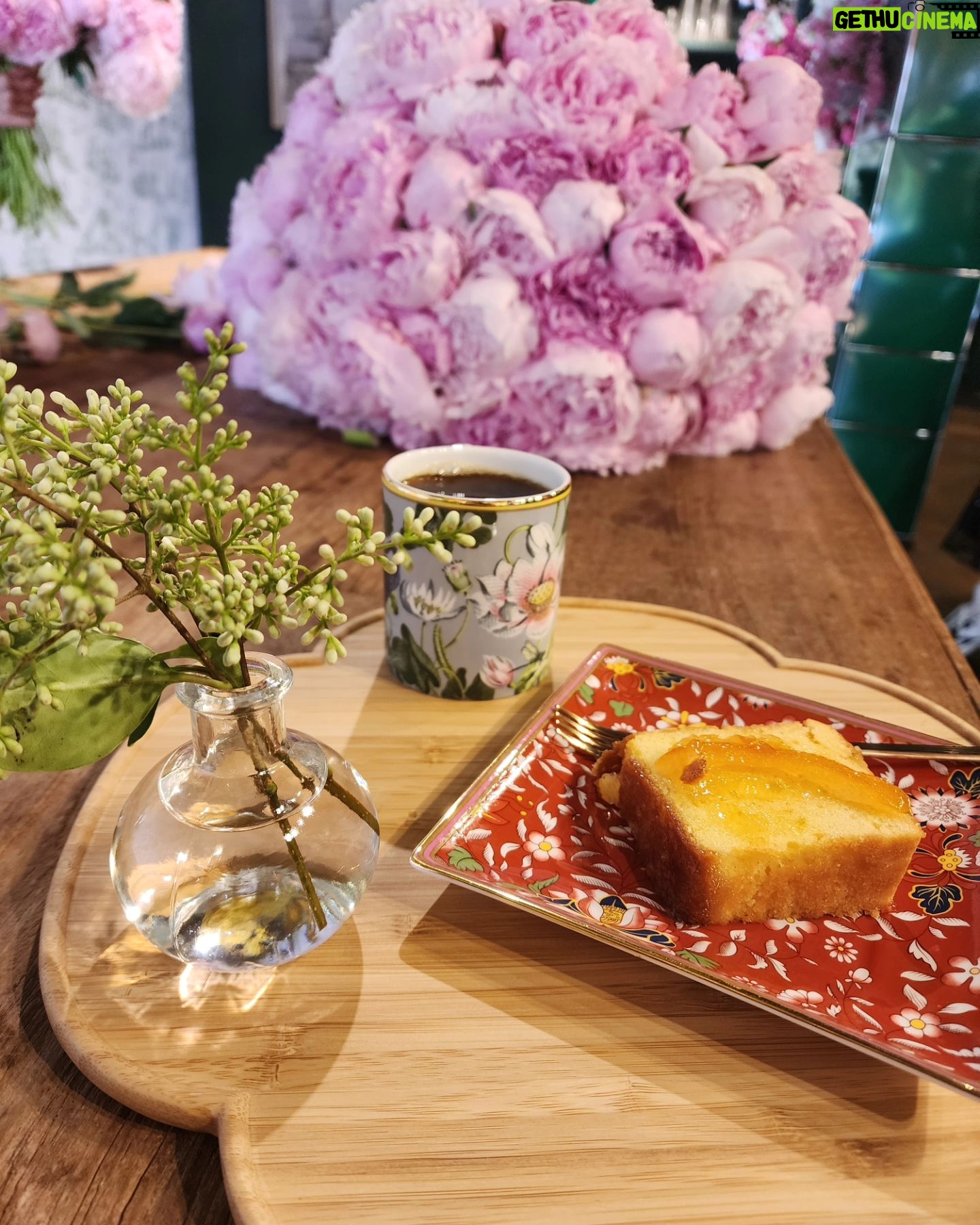 Han Hye-yeon Instagram - κ½ πΈπ½ππΌββππβ πΈβοΈ 80μ‘μ΄ μμ½μΌλ‘ νλ§νλ μ€λ~ μ¨μΈμμ΄ μλ¦λ΅κ² 보μ^^π§‘ μ€νμ΄λ΄ μ κ·Όμ‘ μ’ ν€μμΌκ²μπͺππ¦ #μΈμλμμ΄ #flowerclass #peony #audryflowers2014