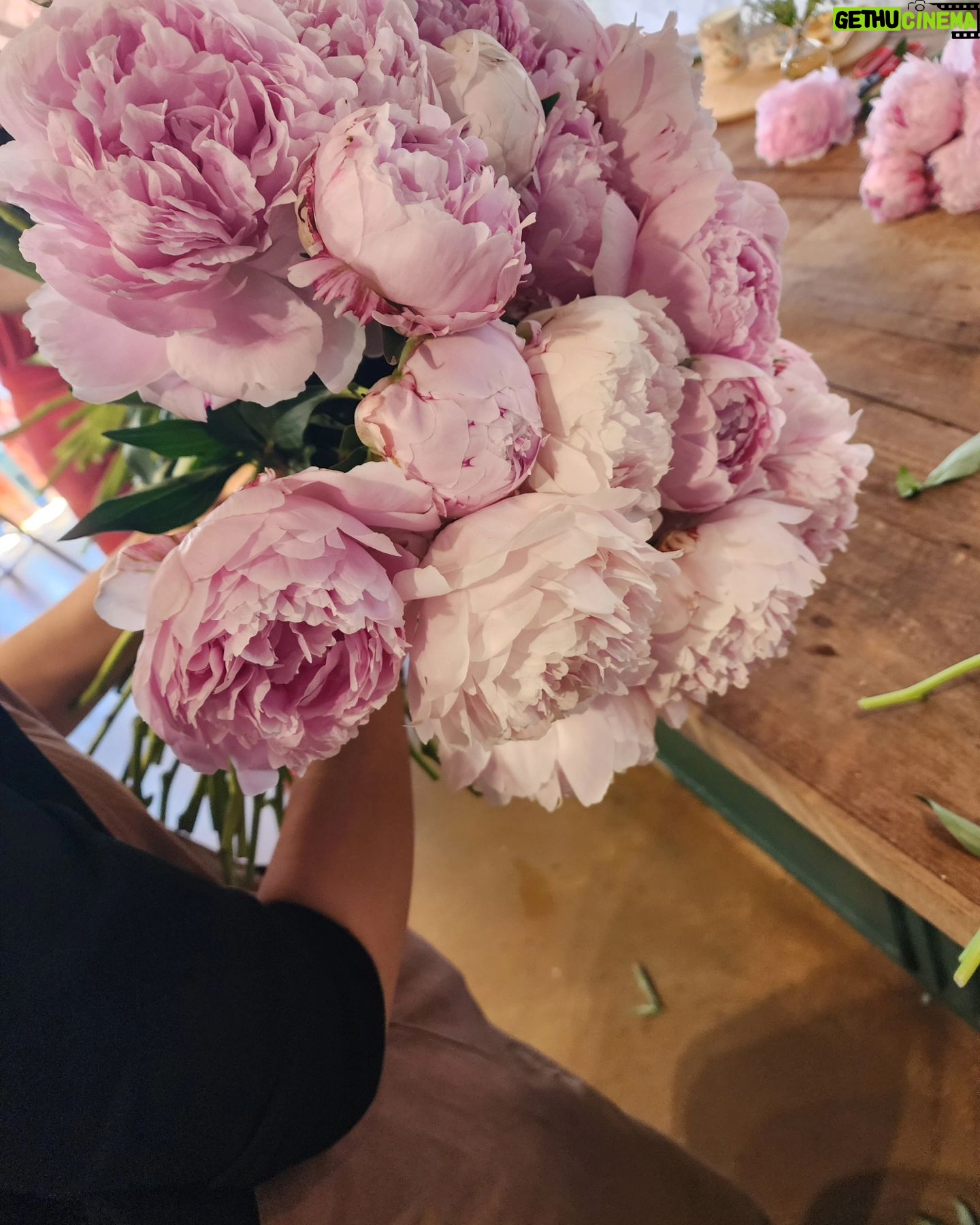 Han Hye-yeon Instagram - κ½ πΈπ½ππΌββππβ πΈβοΈ 80μ‘μ΄ μμ½μΌλ‘ νλ§νλ μ€λ~ μ¨μΈμμ΄ μλ¦λ΅κ² 보μ^^π§‘ μ€νμ΄λ΄ μ κ·Όμ‘ μ’ ν€μμΌκ²μπͺππ¦ #μΈμλμμ΄ #flowerclass #peony #audryflowers2014