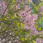 Han Seon-hwa Instagram - 4월조각🌿🌼🌸