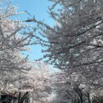 Han So-hee Instagram -
