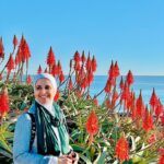 Hanan Turk Instagram -