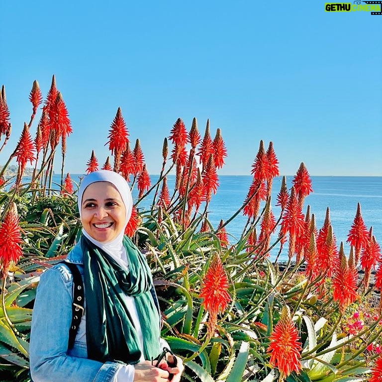 Hanan Turk - 59.2K Likes -
