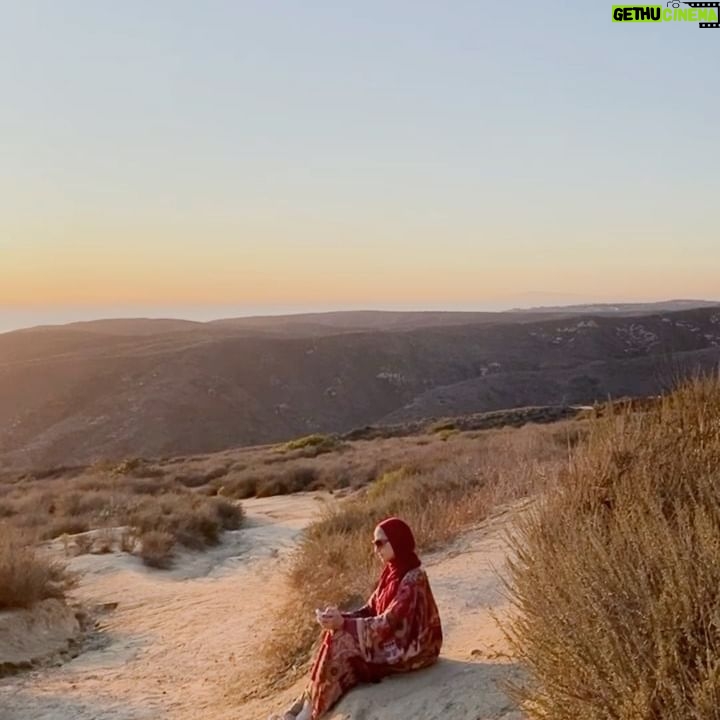 Hanan Turk - 15.6K Likes -