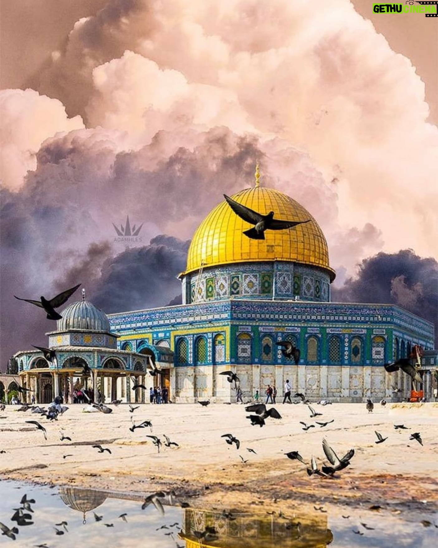 Hanan Turk - 16.3K Likes - هنفتش عن خبيئة بينا وبين ربنا وهنسال الله بها تفريج الكرب عن اهل #فلسطين …
نجمع صغار البيت الذين لم يذنبوا ونقدمهم في سؤال الله النجاة لاهل #فلسطين …
نقدم بين دعائنا صدقات وقربات-وإن قلت- ونسال الله معها النجاة لاهل #فلسطين ..
ليتب كل منا من ذنب يعلمه الله منه بنية نجاة إخواننا …
فلنصنع ما نستطيع لنصرتهم…
فالله أكرم من أن يضيع أولياء له يجاهدون، ومن خلفهم إخوانا لهم يستغيثون.
اللهم نصرك الذي وعدت يا لطيف يارب 🤲