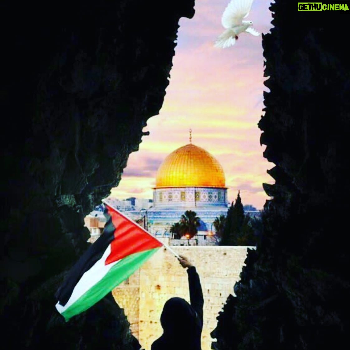 Hanan Turk - 25.8K Likes - قلبي مع كل أم و أب و عيلة فقدت حد من أحبابها...
فلسطين هتفضل في قلوبنا و هتفضل هي البوصلة اللي مينفعش فيها خلافات.. هنفضل نعلم أولادنا انها أرض محتلة لحد ما الحق يرجع لاصحابه..
#فلسطين_في_القلب
#القدس_عربية
#free_Palestine #free_Gaza
#save_sheikh_jarrah