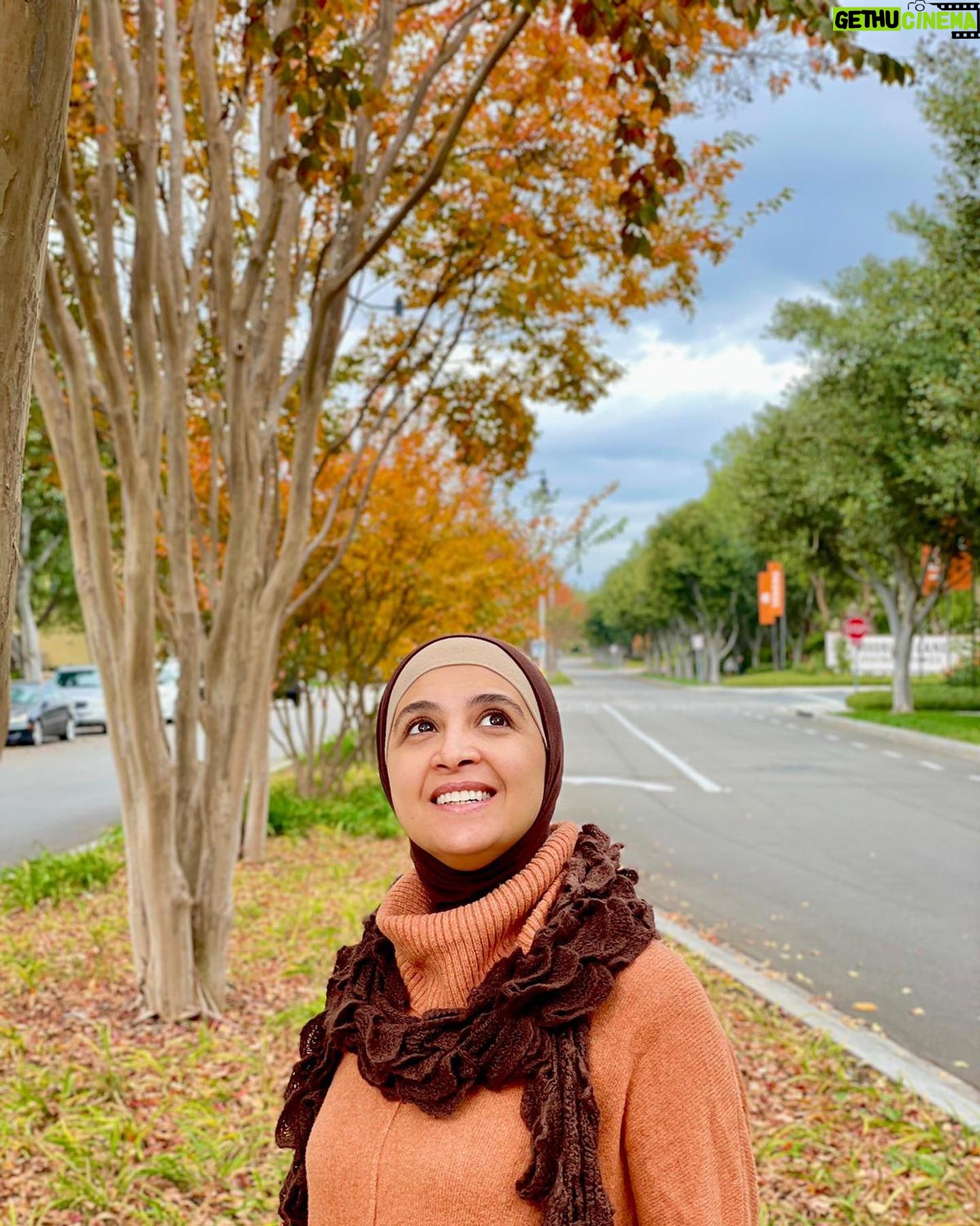 Hanan Turk - 93.7K Likes - عندما يأتيني الخريف ويأخذ أوراقه القديمة لا أحزن لتساقط الأوراق 🍁لأني على يقين أن ربي سيستبدلها مع الربيع بأوراق أجمل.. في هذه الحياة فلنترك ما ذبل منا ولندع ما يؤلمنا وننتظر من الله ربيعا تزهر فيه قلوبنا وتعود فيه الحياة الى الحياة 🌹