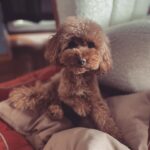 Hande Doğandemir Instagram – dump vakti 🚨🫠 son ikisi favorim 🤩🫠