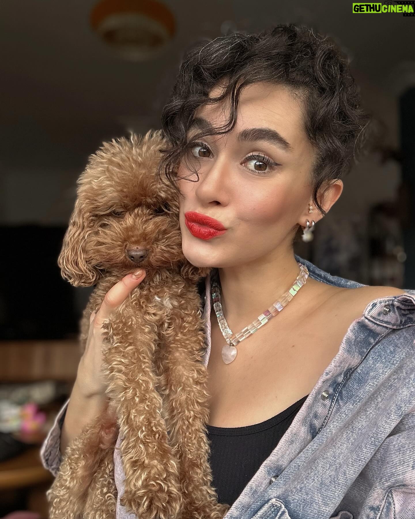 Hande Doğandemir Instagram - biz bu pazarı sevdik 👧🏻🐶