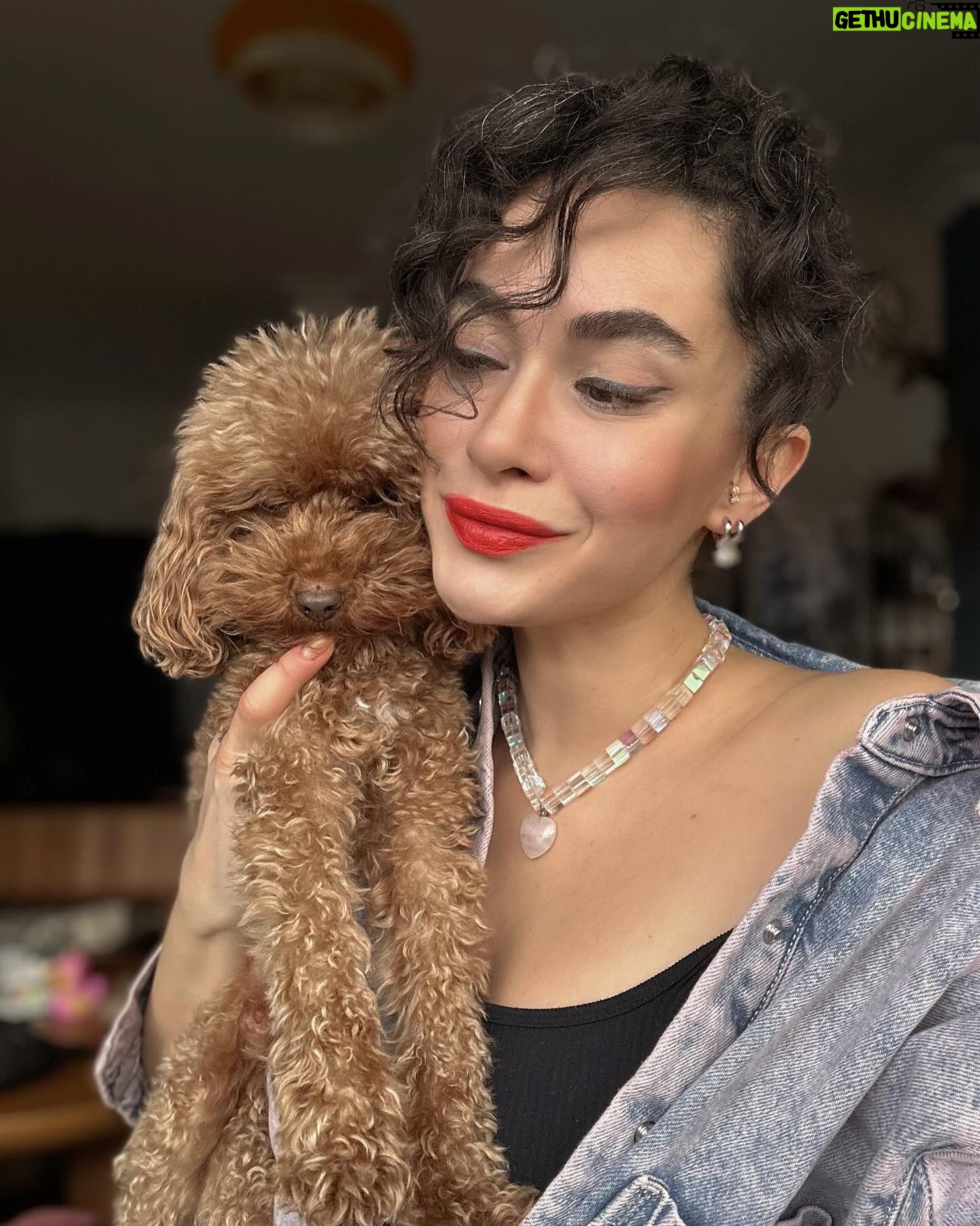 Hande Doğandemir Instagram - biz bu pazarı sevdik 👧🏻🐶