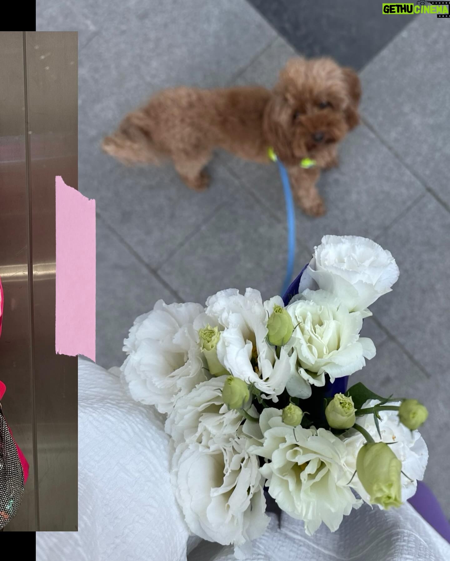 Hande Doğandemir Instagram - bu profili pembelerle, kendimi çiçeklerle donatacağım…