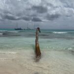 Hande Doğandemir Instagram - eat,love,pray; and repeat! play your fav song, don’t forget, don’t be sad; eat something new, love your friends, hug your family and repeat; eat,love,pray Handecim 🥹🌊🐚🦀🪷💚🐠🎶