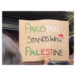Hania Aamir Instagram - You heroes 👊🏽🇵🇸 #freepal3stine🇵🇸