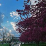 Hannah Colin Instagram - march ‘24. 😊 #hannahgracecolin #explorepage #march #photodump #2024 #explorepage #viral #spring #beyou #selflove #forever #thebestisyettocome