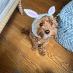 Hannah Kepple Instagram - home
