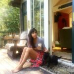 Hannah Simone Instagram - That time I took tiny blind asthmatic old man Frank on a romantic holiday in the woods so he could smell the fresh air and run through the forest 🌲 🐈‍⬛ ❤️