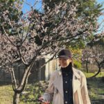 Haru Instagram - あたたかくなりましたね。 みなさん、春休みはどんな予定ですか？🌸
