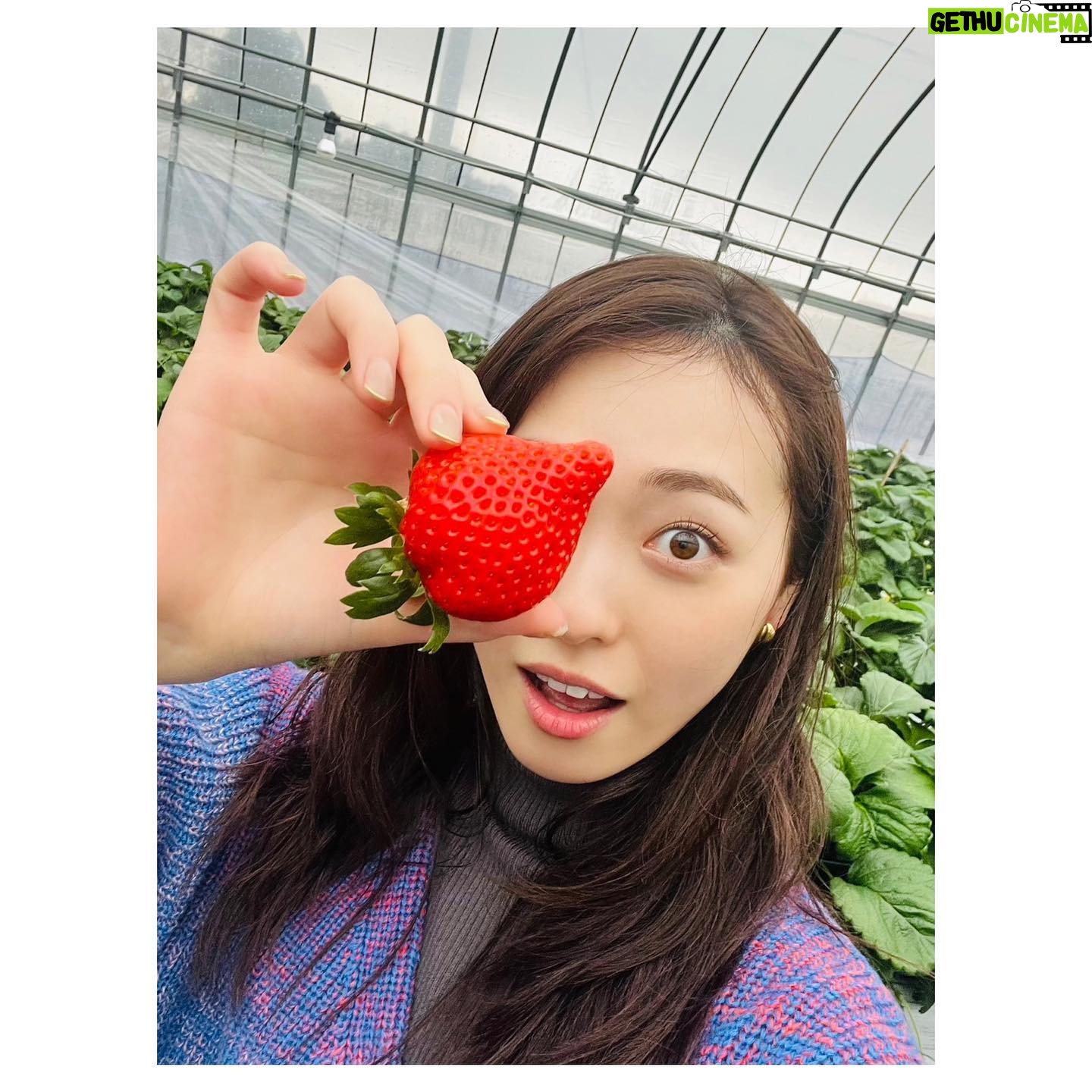 Haruka Fukuhara Instagram - . #朝ドラ#舞いあがれ! 半年間にわたって放送した内容を、ギュッと凝縮した総集編を放送致します☺︎ 総合テレビ 前編が本日5月5日午後13:05〜14:30 そして、後編が午後14:30〜15:55 放送です! BS4Kでは5月6日前編が午後13:00〜14:25、後編が午後14:25〜15:50です! またあの世界を味わえると思うと今からニヤニヤが止まりません! でも舞いあがれ!チームの皆さんに会いたくなっちゃいますね、、、😭💓 皆さん是非楽しんでください! 写真は、大好きな五島列島にクランクアップ後またプライベートでお邪魔させて頂いた時の写真✨ たくさんたくさんお世話になり、第二の家族のような存在の五島列島の皆さん💓 行くたびにパワーをたくさん頂ける大切な場所です😌