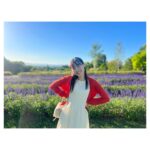 Haruka Fukuhara Instagram - . 2022年。 自分の人生において絶対に忘れられない大切な1年となりました☺︎