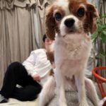Haruna Kondo Instagram - ※ 最近のことをつらつらと。 ①どっくん。どっくんは普段は甘えん坊なんだけど、このときのどっくんは、俺についてこい的な、バイクの後ろ乗れよ的な凛々しさがあってかっこいいよね！！！ 惚れちまうよ！！！ 後ろは…なんだろうね🤔 ②帽子をずっとこうやって被って街を歩いてたみたい！まくり上がっちゃって恥ずかしいね！ でも頭皮が白くて健康っぽくてかっこいい！ ③写真はないんだけど、先日、#XG さんの日本初ステージを観たんだよ！この目で！！ 度肝抜かれたよ。もうね、かっこよくて、お口あんぐり。 とにかく楽しかったし、感動した！ まだ観たことない人は今すぐYouTubeとかで観てほしい！共感したい！わたしはただのファンだよ！ もうすぐ、水谷千重子さんの舞台が始まるよ☻ みなさんとお会いできるのが、ほんっとうに楽しみ！です！