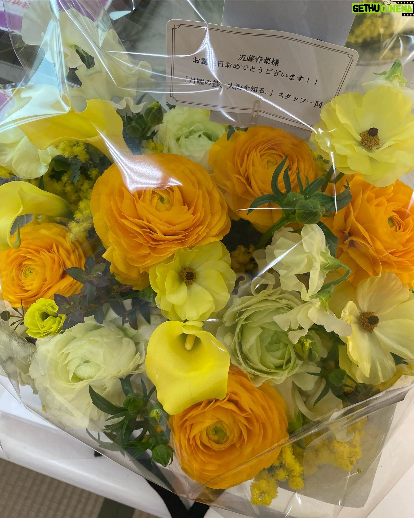 Haruna Kondo Instagram - ※ スッキリは卒業してもなお、こうしてお誕生日にメッセージくださり、気にかけてくださり、ありがたい限りです☻ モニタリングや月曜の蛙、大海を知るも楽屋にお花が置いてあったり、 プレゼントいただいたり、 ステラおばさんのクッキーは毎年、ウィットにとんだ社長のお手紙と共にクッキーをたくさんいただいたり、たまたま乗った飛行機のCAさんにお祝いしてもらったり、 みなさんのコメントや友人や家族からのメッセージやいただいて、幸せ者です。 YouTubeでW成人式撮らせてもらって、反響がありがたいし、 歳を重ねるってほんとにいいね!!