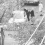 Hasti Mahdavifar Instagram – آی محسن …
آی محسن کشته شد 
آی محسن اعدام شد 
آی محسن …
آی مادر …
.
آنها فكر ميكنند كه ما آنچنان بر حقیم که هر آنچه که به ما آسیب زند رو شایسته گرفتن جانش و فرستادن تنش به زیر خاک می‌دانیم
محسن تازه اول جوونیش بوده با کلی آرزو…اصلا مگه آدم ۲۳ ساله چقدر زیست کرده و جهانو فهمیده که دیگه از اینجا به بعد صلاح نباشه که باشه؟ 
احساس می‌کنم بخشی از جان همه ما گرفته شده. 
و من برای پذیرش این درد خیلی نفهمم، ناچارم پناه ببرم به هر گونه باوری که در خارج از جهان فهم و ماهیت فیزیکی ما بتونه به این همه بی معنی بودن و خالی بودن، به زور معنایی بده …که نه…
#محسن_شکاری
#مهسا_امینی