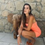 Hatice Şendil Instagram - Bir favorinizi alırım🧡🍊