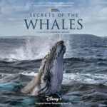 Hayden Panettiere Instagram - Just finished watching a screening of Secrets of the Whales. It’s fantastic and made me fall in love with whales all over again! Check it out April 22nd on Disney Plus! @Disneyplus #NationalGeographic @natgeotv #JamesCameron #BrianSkerry