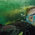 Hayden Panettiere Instagram – Just found one of my favorite pictures of me diving in Australia! While a picture was being taken, this shark nailed me right in the head and that is a genuine look of terror on my face! 😂