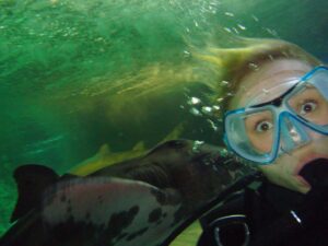 Hayden Panettiere Instagram - Just found one of my favorite pictures of me diving in Australia! While a picture was being taken, this shark nailed me right in the head and that is a genuine look of terror on my face! 😂