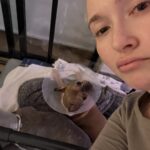 Hayden Panettiere Instagram – My babies had surgery and ohhhhh boy they don’t like the cones 🥹