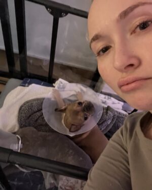 Hayden Panettiere Instagram - My babies had surgery and ohhhhh boy they don’t like the cones 🥹