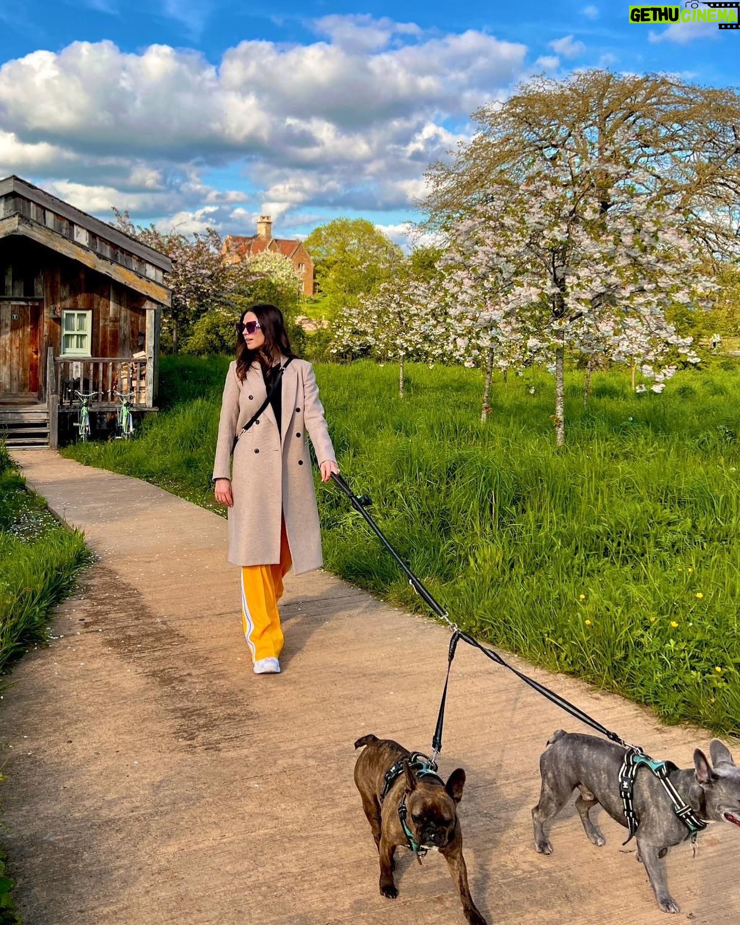 Hayley Atwell Instagram - Strolling into the weekend with the best of ‘em